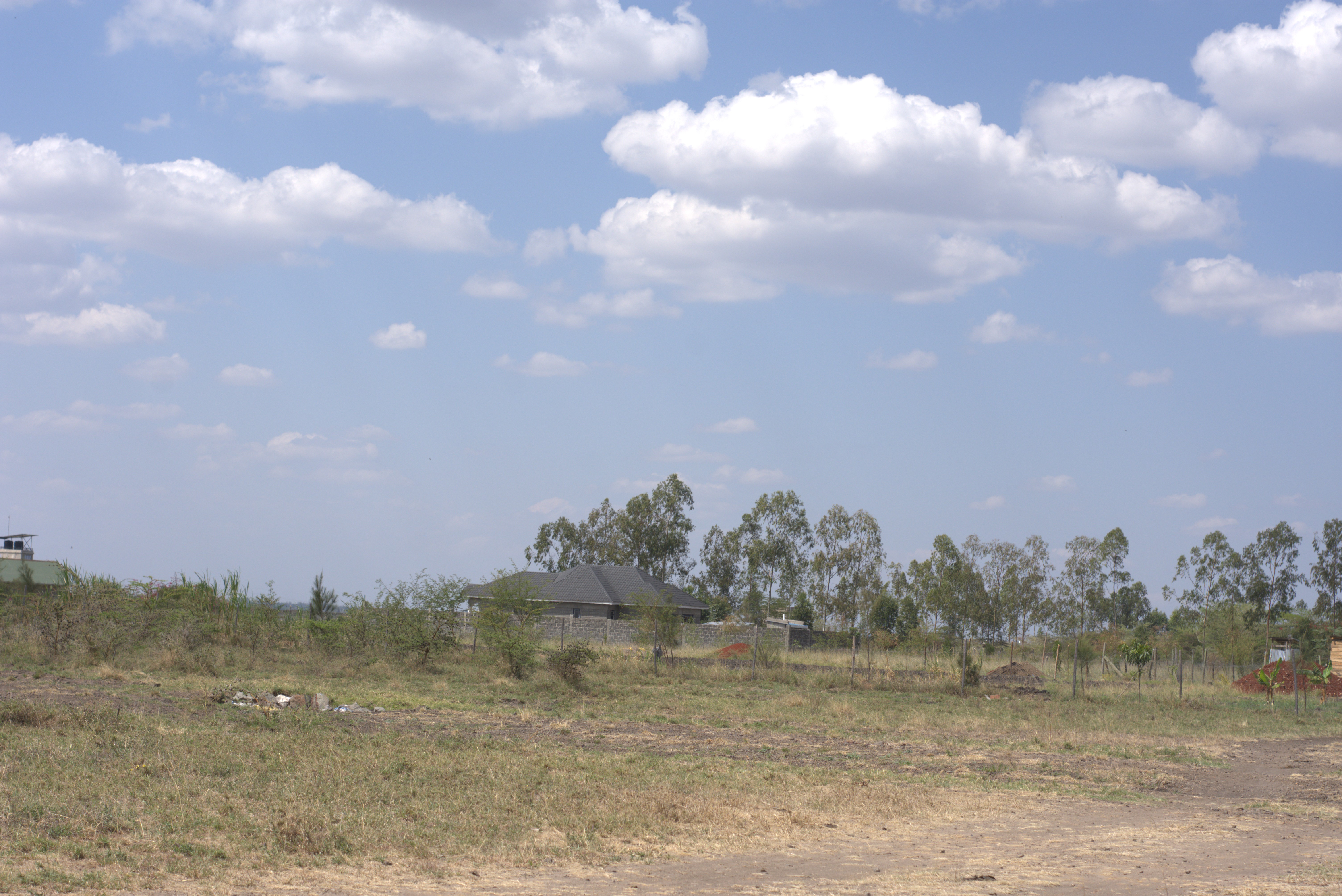 Mwalimu Farm 1